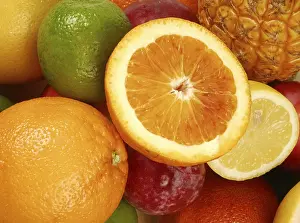 Fresh Citrus Fruits Prints: Various fruit