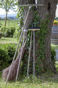 Garden Tool Photography Prints: Various garden tools leaning against a tree