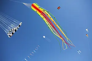 Beach Leisure Activity Prints: Various kites, on the beach, octopus