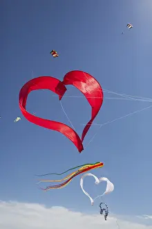 Leisure Activities France Prints: Various kites, kites on the beach