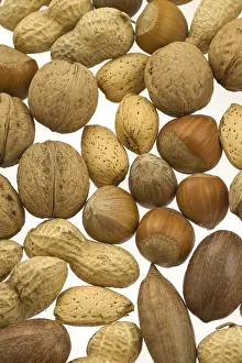 Hazelnut Nutrition Facts Prints: Various nuts in their shells, brazil nuts