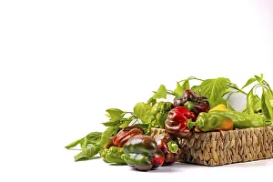 Isolated Vegetable Images Prints: Various peppers (Capsicum) in and next to baskets