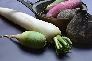 Radish Varieties Prints: Various radishes, Raphanus