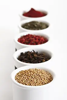Different Types Of Spices Prints: Various spices