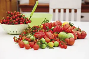 Tomato Nutrition Facts Prints: Various tomato varieties