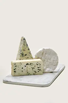 Blue Mold Cheese Prints: Various types of blue mold cheese
