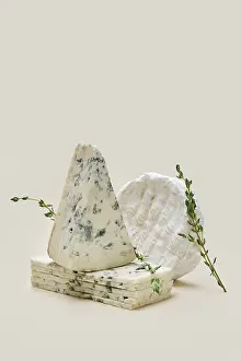 Camembert Cheese Prints: Various types of blue mold cheese