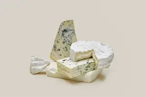 Blue Mold Cheese Prints: Various types of blue mold cheese