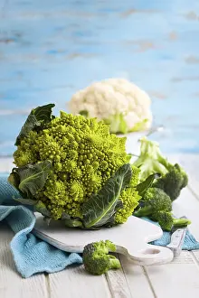 Brassicaceae Plants Prints: Various types of cabbage: romanesco