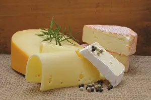 Studio Shot Of Spices And Herbs Prints: Various types of cheeses, Germany
