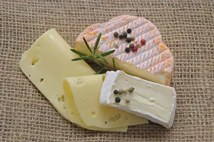 Germany Food Photography Prints: Various types of cheeses, Germany