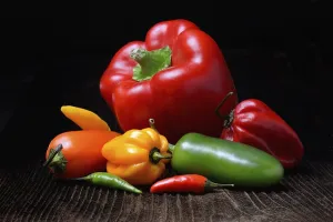 Solanaceae Plant Varieties Prints: Various types of peppers, Germany
