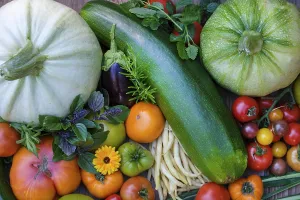 Germany Agriculture Prints: Various vegetables, courgettes