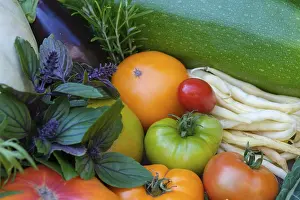 Southern Germany Vegetables Prints: Various vegetables, tomatoes, basil
