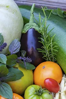 Central Europe Produce Prints: Various vegetables, tomatoes, basil