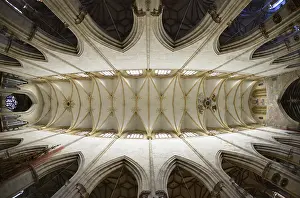 Vaulted Ceiling Photography Prints: Vaulting, view of the vaulted ceiling