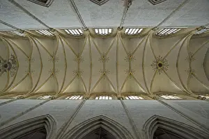 Vaulted Ceiling Germany Prints: Vaulting, view of the vaulted ceiling