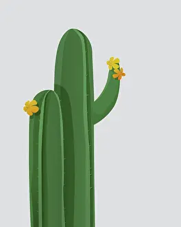 Ornamental Plant Design Prints: Vector background with blooming cactus