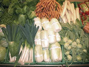 German Turnip Varieties Prints: Vegetable