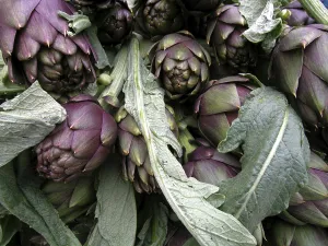 Close Up Artichoke Prints: Vegetable, artichoke