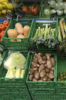 Deserted Garden Produce Prints: Vegetable boxes, Chinese cabbage