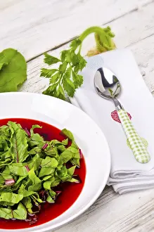 Healthy Vegetarian Lunch Options Prints: Vegetable soup from young, fresh sheets of the beetroot