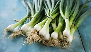 Deserted Garden Vegetables Prints: Vegetable, spring onion or spring onion
