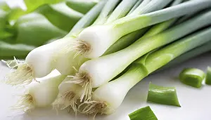 Deserted Garden Vegetables Prints: Vegetable, spring onion or spring onion