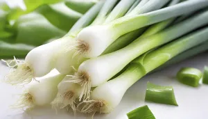 Deserted Vegetable Garden Prints: Vegetable, spring onion or spring onion