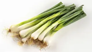 Deserted Garden Vegetables Prints: Vegetable, spring onion or spring onion
