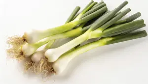 Garden Vegetables Prints: Vegetable, spring onion or spring onion