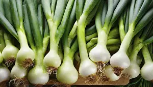 Vegetable Photography Still Life Prints: Vegetable, spring onion or spring onion