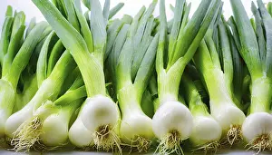 Deserted Garden Vegetables Prints: Vegetable, spring onion or spring onion