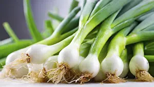 Deserted Garden Vegetables Prints: Vegetable, spring onion or spring onion