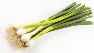 Spicy Vegetable Dishes Prints: Vegetable, spring onion or spring onion