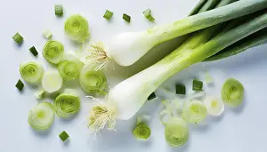 Garden Vegetables Prints: Vegetable, spring onion or spring onion