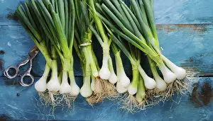 Garden Vegetables Prints: Vegetable, spring onion or spring onion