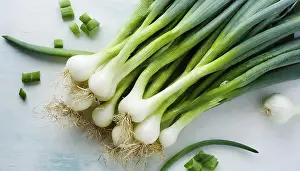 Garden Produce Photography Prints: Vegetable, spring onion or spring onion