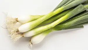 Deserted Garden Vegetables Prints: Vegetable, spring onion or spring onion