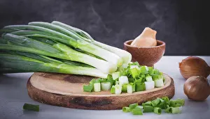 Garden Vegetables Prints: Vegetable, spring onion or spring onion