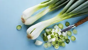Deserted Garden Vegetables Prints: Vegetable, spring onion or spring onion