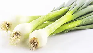 Garden Vegetables Prints: Vegetable, spring onion or spring onion