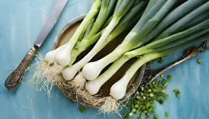 Spring Onion Prints: Vegetable, spring onion or spring onion