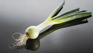 Deserted Garden Vegetables Prints: Vegetable, spring onion or spring onion