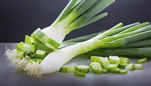 Garden Produce Prints: Vegetable, spring onion or spring onion