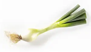 Deserted Garden Vegetables Prints: Vegetable, spring onion or spring onion