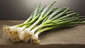 Deserted Vegetable Garden Prints: Vegetable, spring onion or spring onion