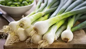 Garden Produce Photography Prints: Vegetable, spring onion or spring onion
