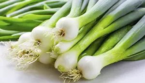 Garden Vegetables Prints: Vegetable, spring onion or spring onion