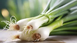 Spring Onion Prints: Vegetable, spring onion or spring onion